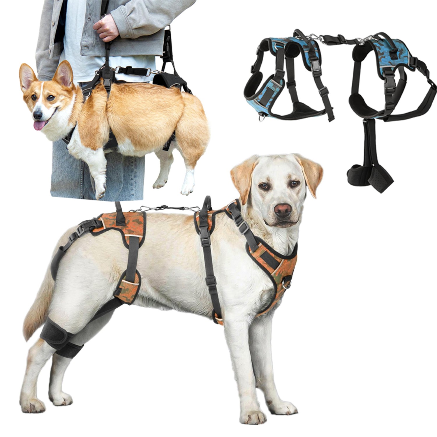 DOG BRACE
